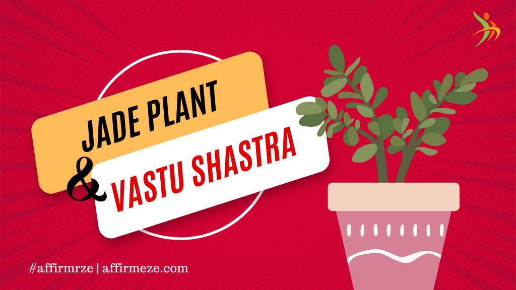 Jade Plant: Your Key to Prosperity? Unleash the Vastu Shastra Secrets for Wealth and Positive Energy! Don't Miss This Green Revolution!